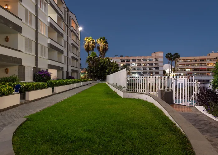Tc Dorotea *