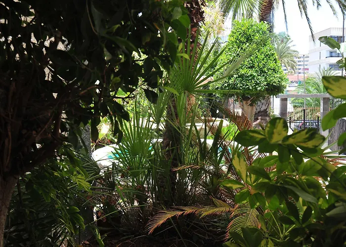 Apartamento Tc Dorotea
