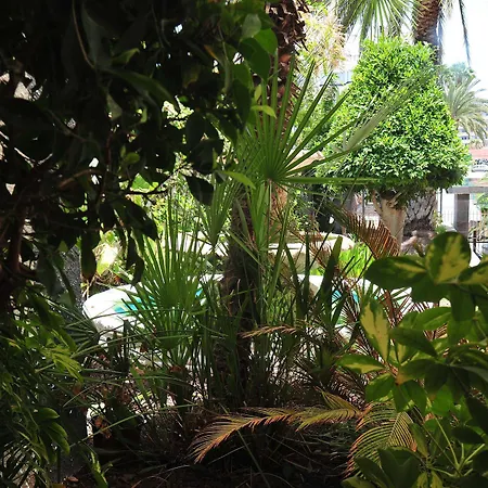 Apartment Tc Dorotea